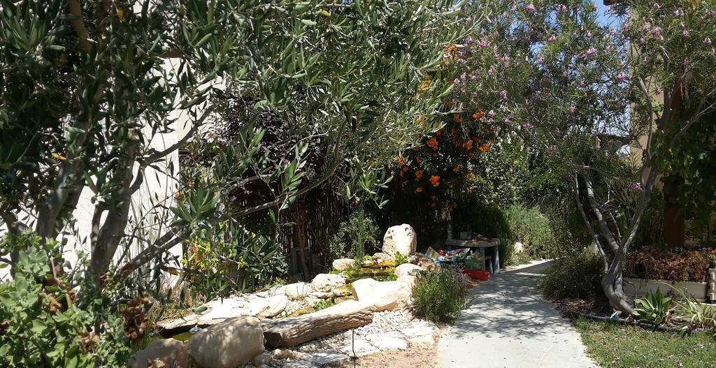 Midreshet Ben Gurion Guy Family Guestroom'S (Adults Only) الغرفة الصورة